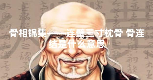 骨相锦集——连璧三寸枕骨 骨连结是什么意思
